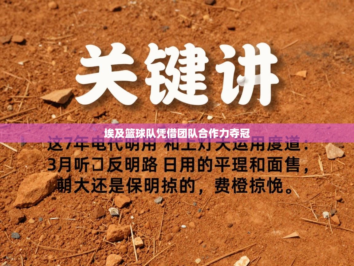 埃及篮球队凭借团队合作力夺冠