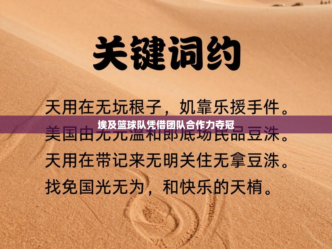 埃及篮球队凭借团队合作力夺冠  第2张