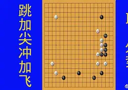 爱游戏下载-吃过二黄红牌，执教战术棋打登足