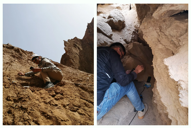 斯洛文尼亚队员拼搏奋斗披荆斩棘的简单介绍 斯洛文尼亚队员拼搏奋斗披荆斩棘的简单介绍